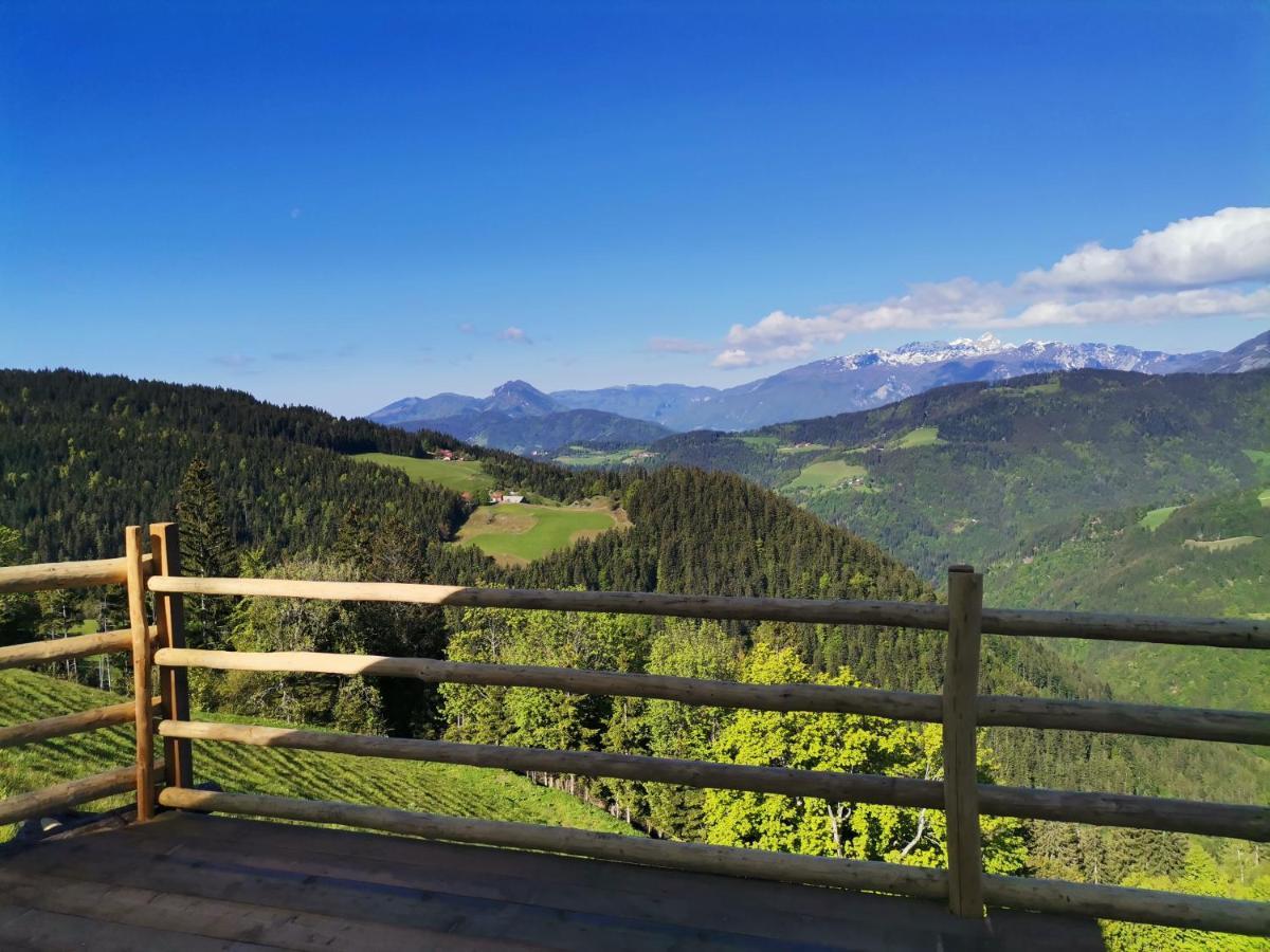 Farmstay&Glamping Visocnik Ljubno Ngoại thất bức ảnh