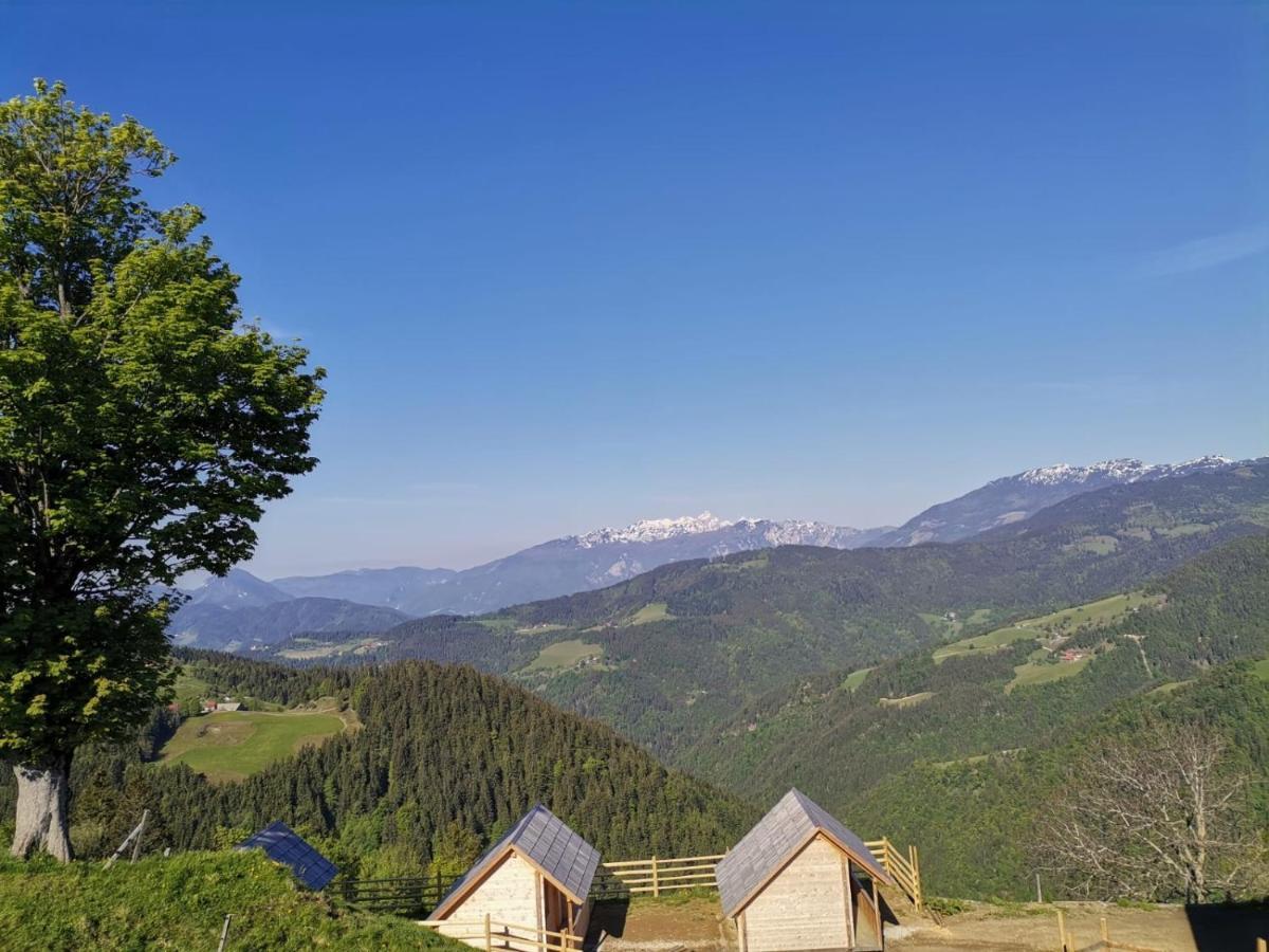 Farmstay&Glamping Visocnik Ljubno Ngoại thất bức ảnh