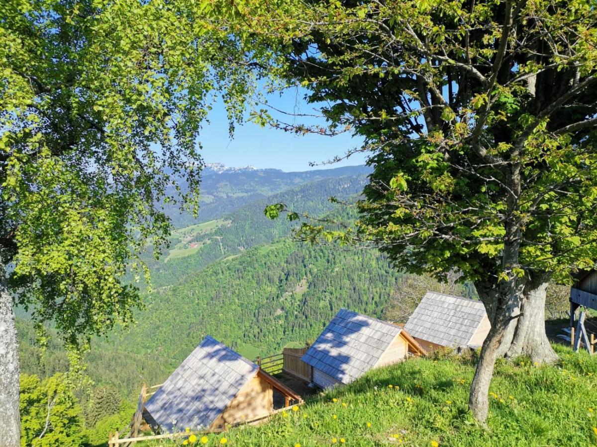 Farmstay&Glamping Visocnik Ljubno Ngoại thất bức ảnh