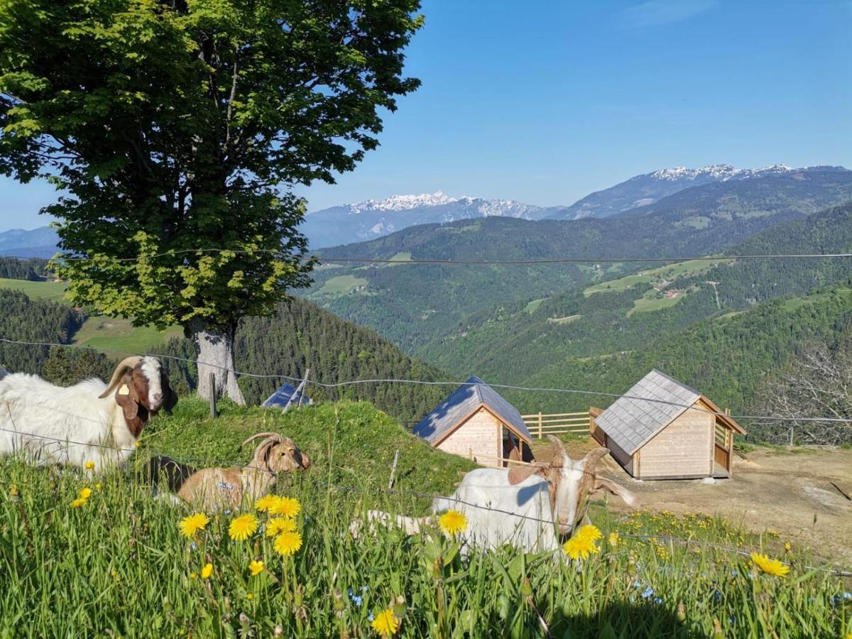 Farmstay&Glamping Visocnik Ljubno Ngoại thất bức ảnh