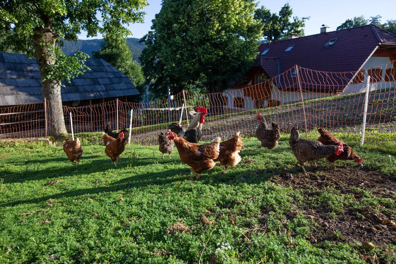 Farmstay&Glamping Visocnik Ljubno Ngoại thất bức ảnh