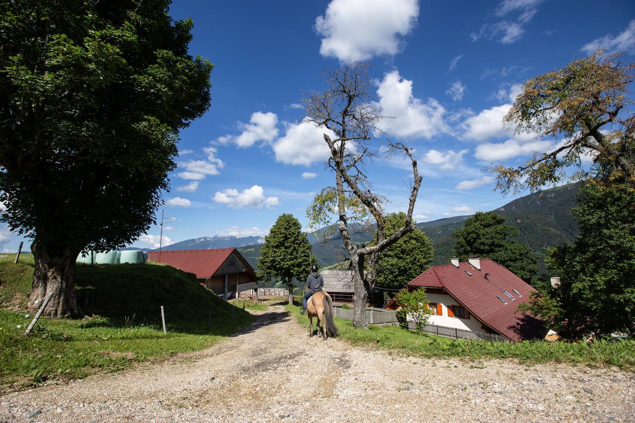 Farmstay&Glamping Visocnik Ljubno Ngoại thất bức ảnh