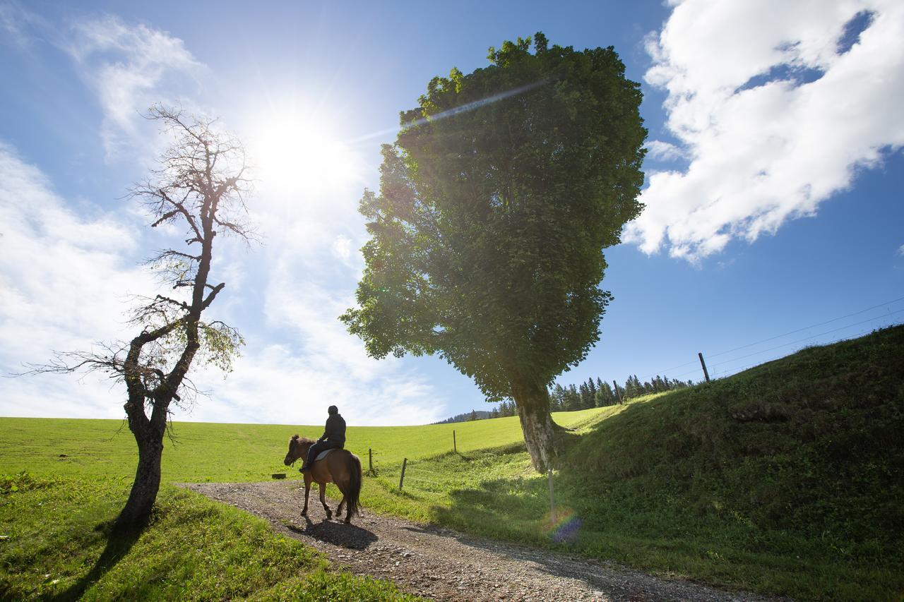 Farmstay&Glamping Visocnik Ljubno Ngoại thất bức ảnh