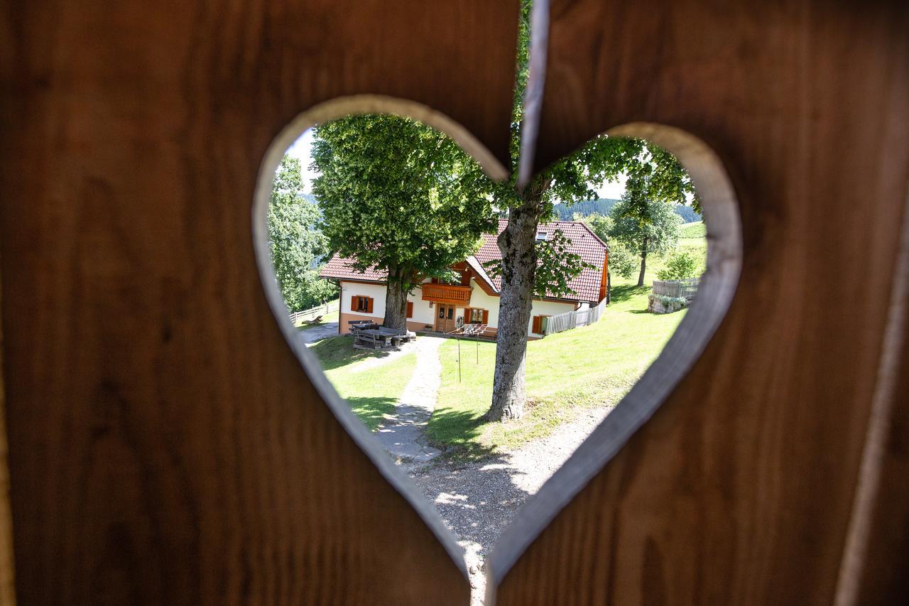 Farmstay&Glamping Visocnik Ljubno Ngoại thất bức ảnh