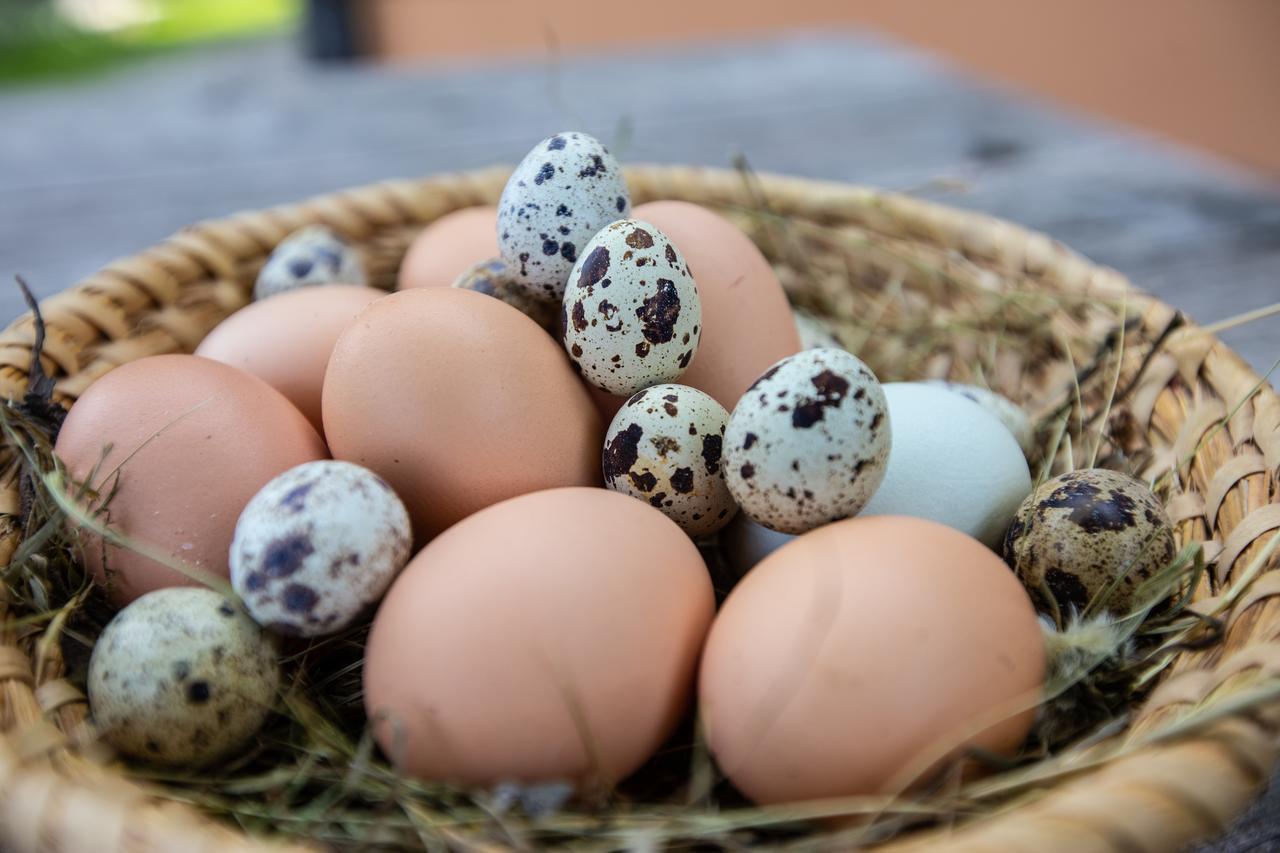 Farmstay&Glamping Visocnik Ljubno Ngoại thất bức ảnh