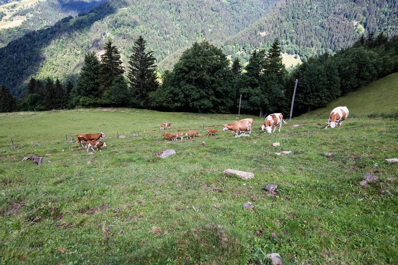 Farmstay&Glamping Visocnik Ljubno Ngoại thất bức ảnh