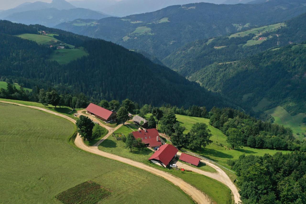 Farmstay&Glamping Visocnik Ljubno Ngoại thất bức ảnh