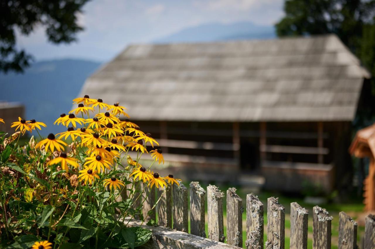 Farmstay&Glamping Visocnik Ljubno Ngoại thất bức ảnh