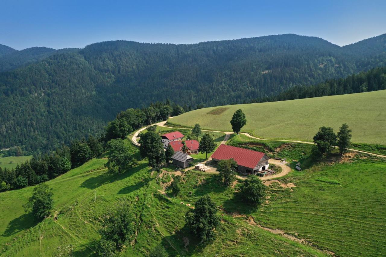 Farmstay&Glamping Visocnik Ljubno Ngoại thất bức ảnh