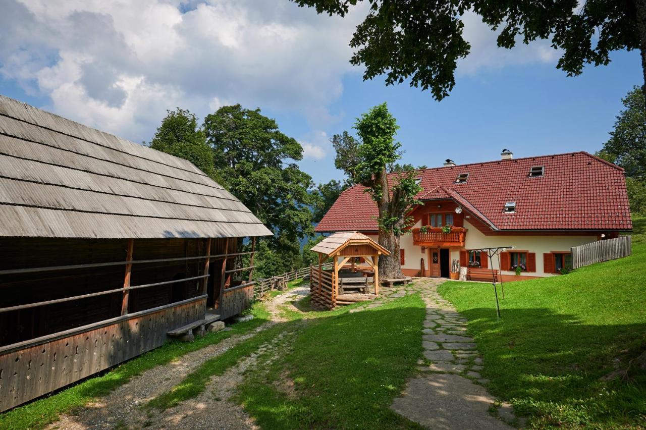 Farmstay&Glamping Visocnik Ljubno Ngoại thất bức ảnh