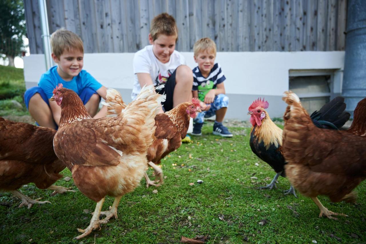 Farmstay&Glamping Visocnik Ljubno Ngoại thất bức ảnh