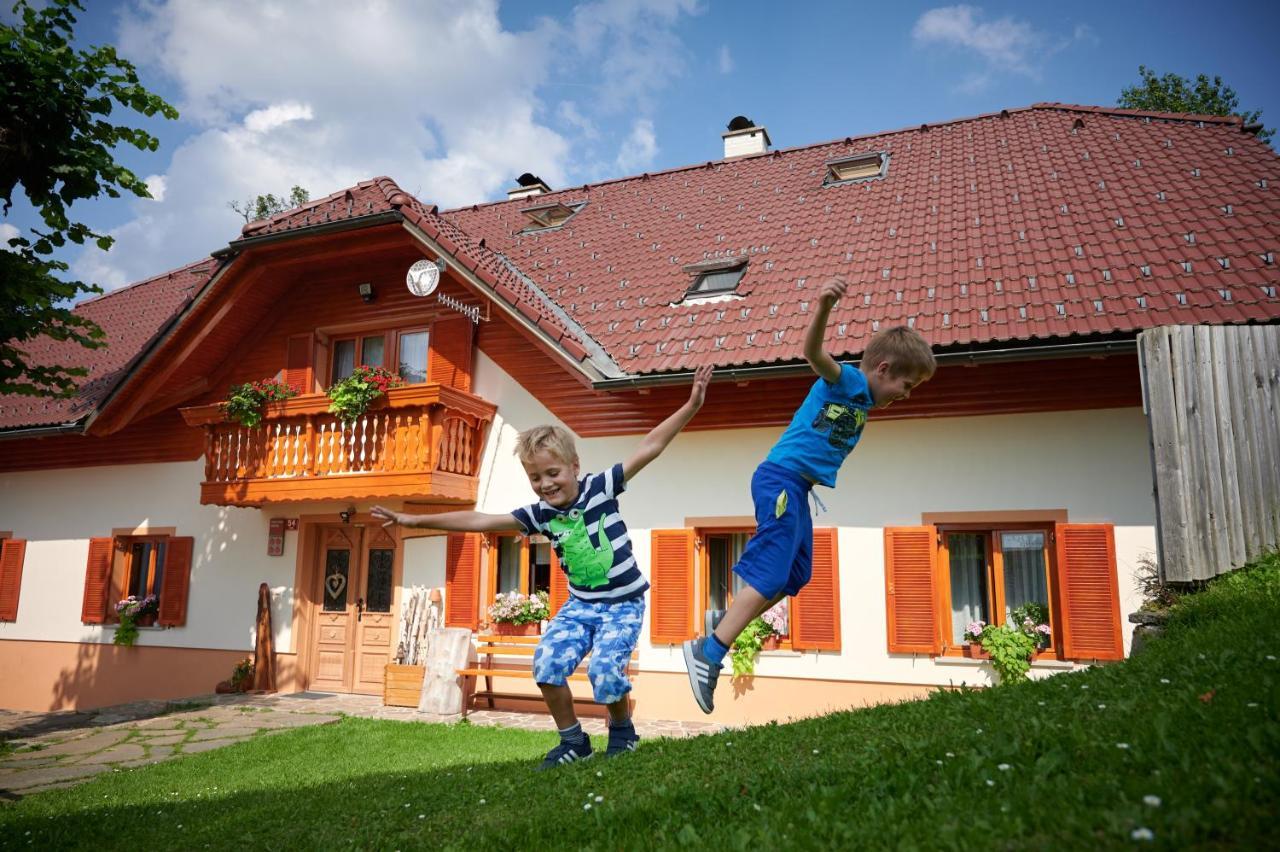 Farmstay&Glamping Visocnik Ljubno Ngoại thất bức ảnh