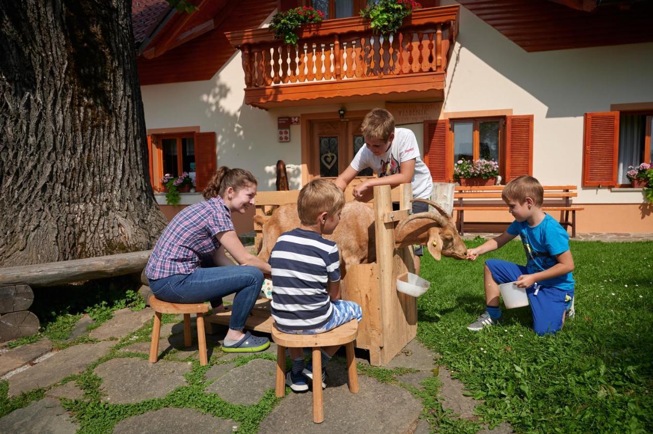 Farmstay&Glamping Visocnik Ljubno Ngoại thất bức ảnh