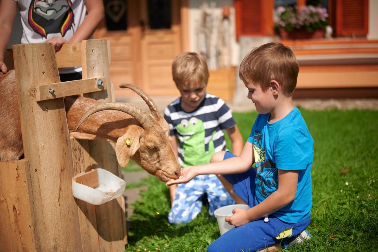 Farmstay&Glamping Visocnik Ljubno Ngoại thất bức ảnh